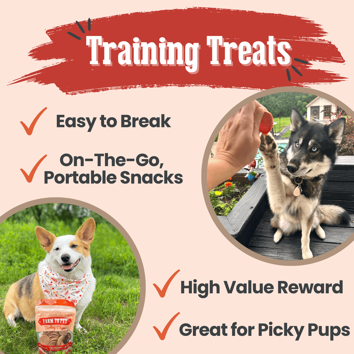 Turkey Chips for Dogs | All-Natural Single-Ingredient Healthy Dog Treats