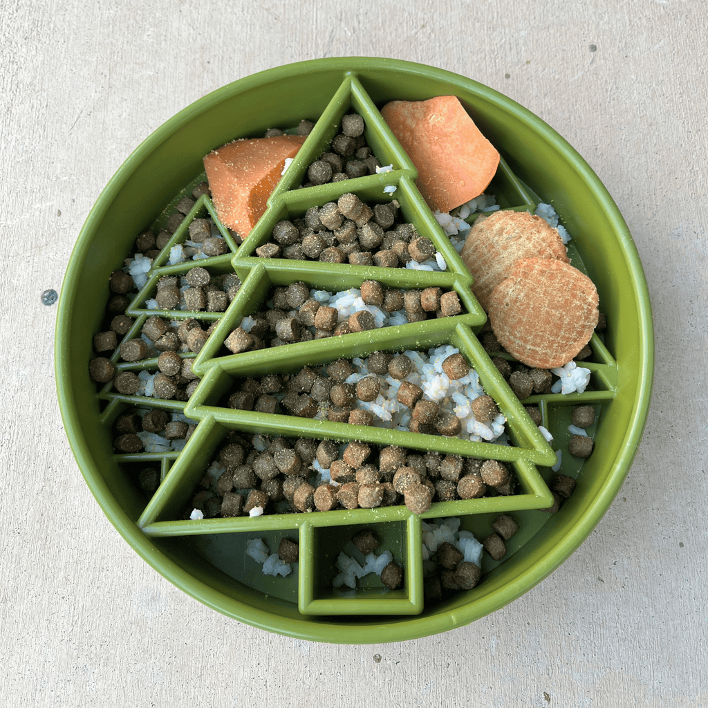 Slow Feeder Dog Bowls