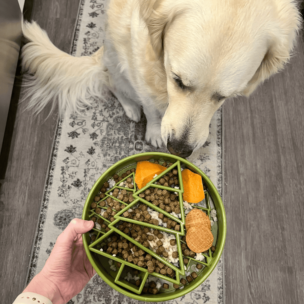 Slow Feeder Dog Bowls
